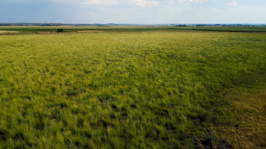 0 Bedroom Property for Sale in Hennenman Rural Free State